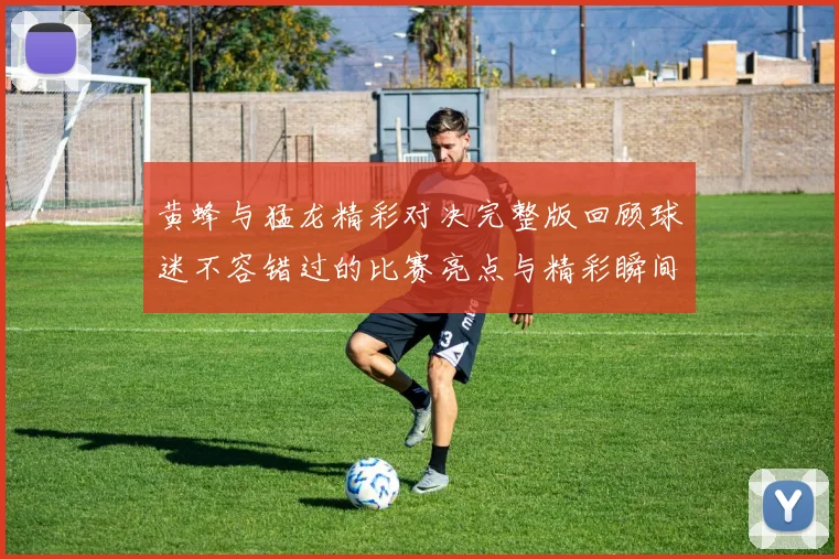 黄蜂与猛龙精彩对决完整版回顾球迷不容错过的比赛亮点与精彩瞬间