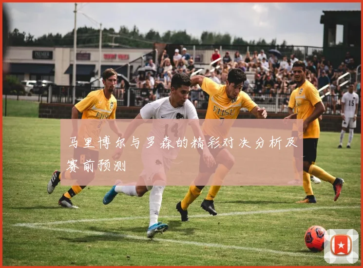 马里博尔与罗森的精彩对决分析及赛前预测