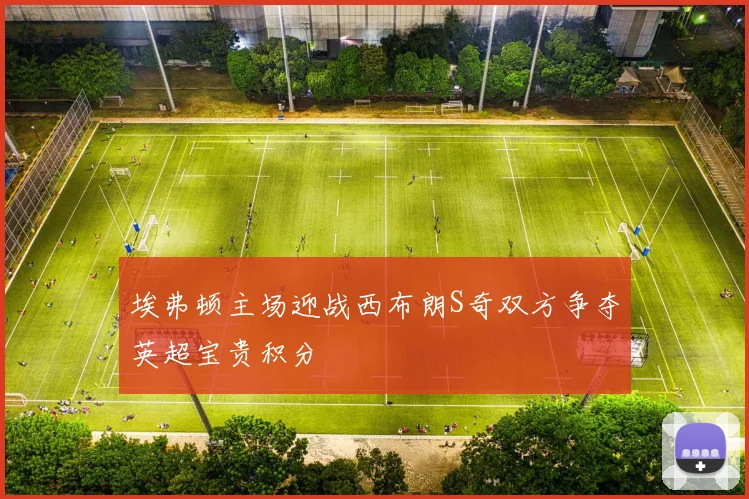 埃弗顿主场迎战西布朗S奇双方争夺英超宝贵积分